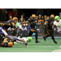 Darrell Monroe of the Arizona Rattlers fights through the Nebraska Danger defense