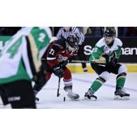 Vancouver Giants right wing Jared Dmitriw with the puck against the Prince Albert Raiders