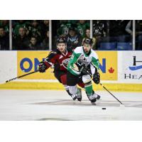 Vancouver Giants battle the Prince Albert Raiders