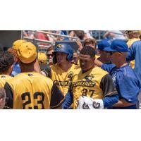 Gavin Lux celebrates with his teammates after homering in the Tulsa Drillers 9-8 victory over the Corpus Christi Hooks on Sunday afternoon
