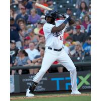 Round Rock Express outfielder Yordan Alvarez