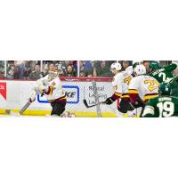 Chicago Wolves vs. the Iowa Wild