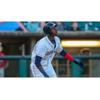 Lakewood BlueClaws action