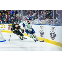 Florida Everblades vs. the Newfoundland Growlers