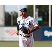 Aaron Hicks of the Tampa Tarpons