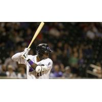 Winston-Salem Dash outfielder Luis Robert