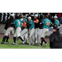 Long Island Ducks celebrate a waddle-off win