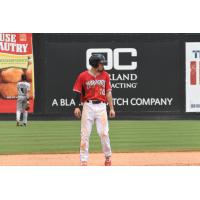 Zach Clark of the Carolina Mudcats