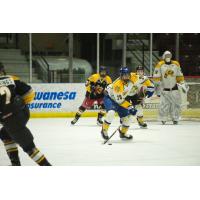 2019 Sarnia Sting second round selection Justin O'Donnell