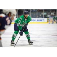 Florida Everblades defenseman Justin Wade