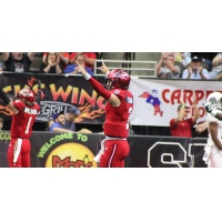 Jacksonville Sharks quarterback Jonathan Bane celebrates