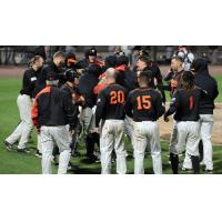 Long Island Ducks celebrate a waddle-off win