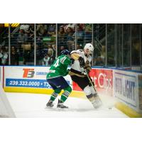 Florida Everblades battle the Newfoundland Growlers