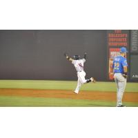 Mario Feliciano of the Carolina Mudcats rounds the bases after his walk-off homer