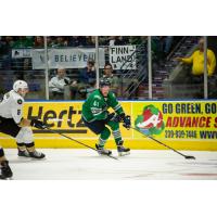 Florida Everblades forward Blake Winiecki vs. the Newfoundland Growlers