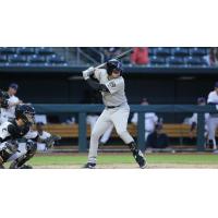 Jackson Generals infielder Drew Ellis