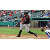 Rando Morena at bat for the Long Island Ducks