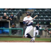 Braden Bishop of the Tacoma Rainiers at the plate