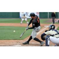 Den Dekker of the Long Island Ducks connects