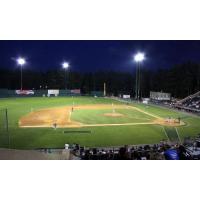 Holman Stadium, home of the Nashua Silver Knights