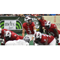 Quarterback Jonathan Bane directs the Jacksonville Sharks offense