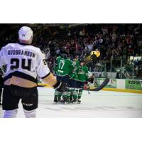 Florida Everblades celebrate a Blake Winiecki goal against the Newfoundland Growlers