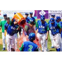 Lexington Legends celebrate a win