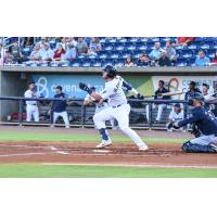 Travis Blankenhorn of the Pensacola Blue Wahoos