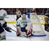 Florida Everblades goaltender Callum Booth