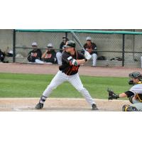 Kirk Nieuwenhuis of the Long Island Ducks