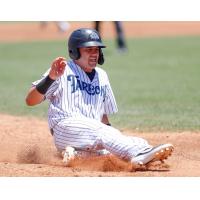 Donny Sands of the Tampa Tarpons