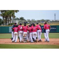 Pensacola Blue Wahoos celebrate a walk-off win