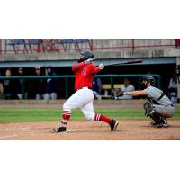 Alexis Olmeda of the Burlington Bees