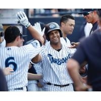 Dermis Garcia of the Tampa Tarpons receives congratulations in the dugout