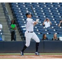 Giancarlo Stanton at bat for the Tampa Tarpons