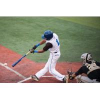 Terre Haute REX at bat
