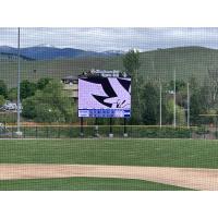 Missoula Osprey's new video board