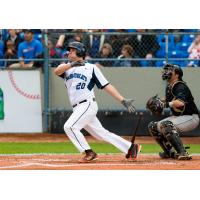 Gabe Clark with the Victoria HarbourCats