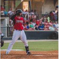 Mario Feliciano at bat for the Carolina Mudcats