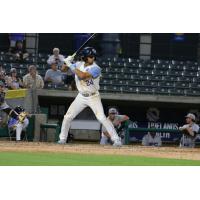 Zach Davis of the Myrtle Beach Pelicans