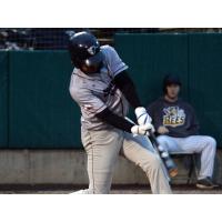 D'Arby Myers of the Somerset Patriots