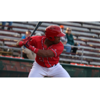 Omar Meregildo of the Hagerstown Suns