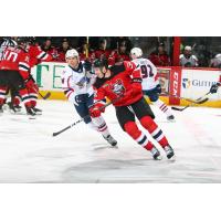 Binghamton Devils forward Nikita Popugaev