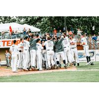 St. Cloud Rox celebrate a walk-off win
