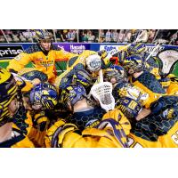 Georgia Swarm huddle