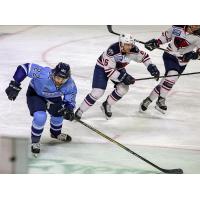 Former Maine Mariners forward Johnny McInnis vs. the South Carolina Stingrays
