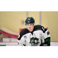 Defenseman Mitchell Miller with the Cedar Rapids RoughRiders