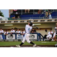 Lakeshore Chinooks infielder Justin Olson