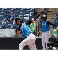 Angel Aguilar of the Tampa Tarpons swings for the fences