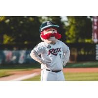 St. Cloud Rox mascot Chisel
